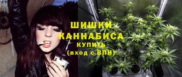 ешки Богданович