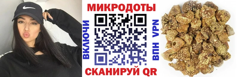 darknet как зайти  Нарьян-Мар  Галлюциногенные грибы Psilocybine cubensis 
